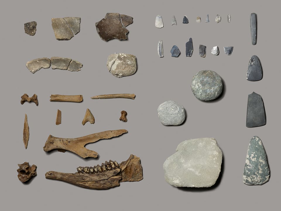 Verschiedene Fundstücke aus Tierknochen und Stein liegen auf grauem Untergrund.
