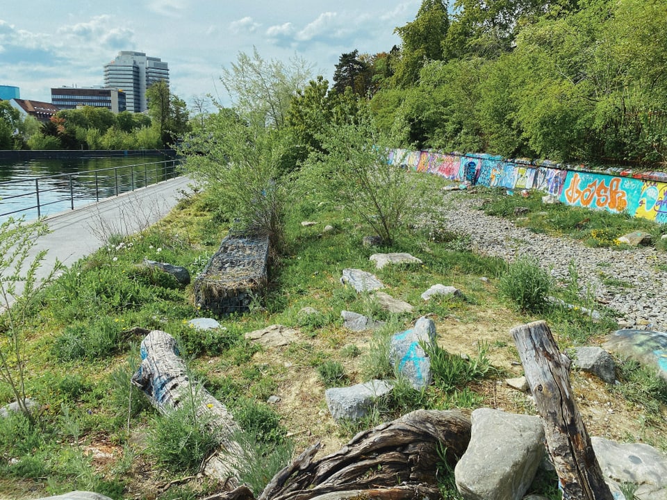 Diese Parkanlage liegt an der Promenade vom Lettenareal. Zwischen den Steinen und Holzstämmen leben verschiedenste Wildbienen. Die verschiedenen Pflanzenarten dienen als Nahrung.