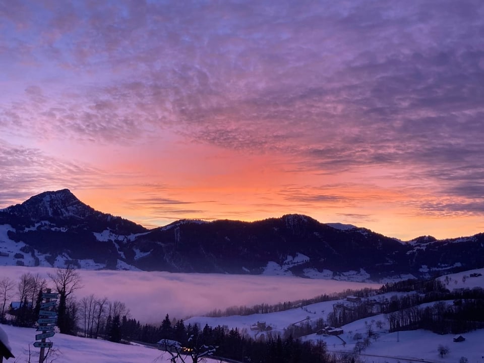 Steinen/SZ Blick Richtung Rigi und Lauerzersee