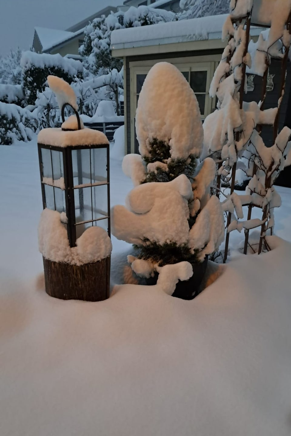 Dicke Schneedecke im Garten
