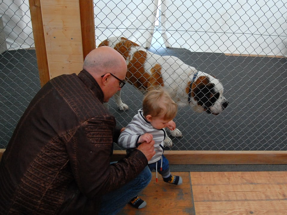 Mann kniet neben Kleinkind vor Hundegehege. 