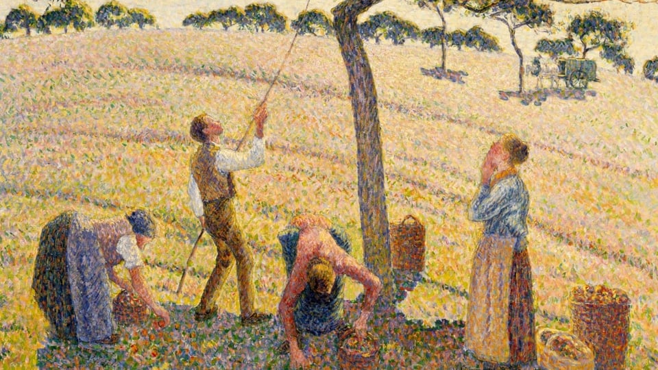 Bauern bei der Apfelernte