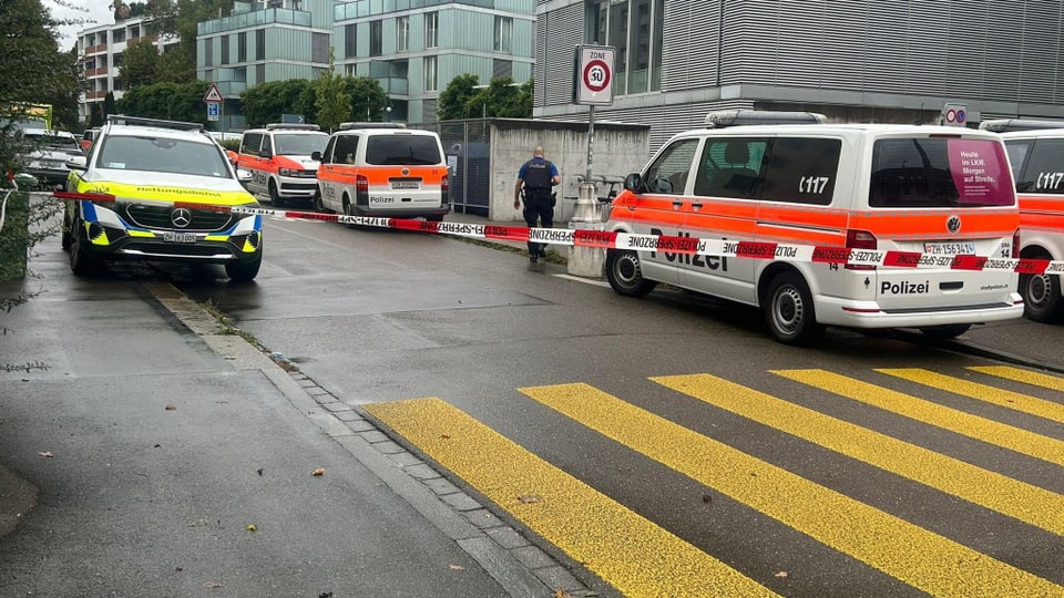 Vários carros da polícia alinham-se na rua.