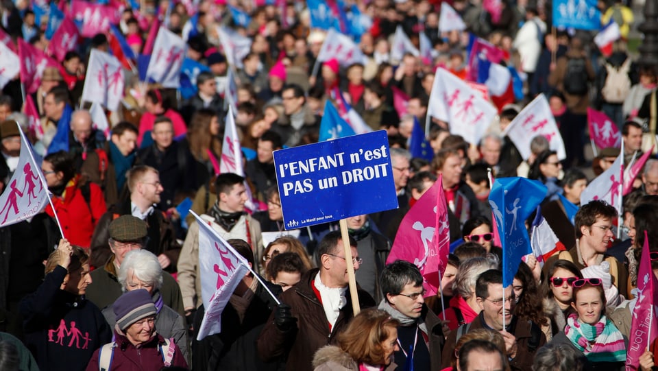 Demonstranten in Paris tragen blaue, weisse und rosarote Fahnen.