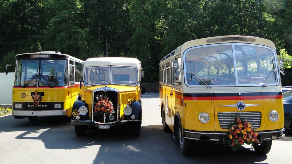 Drei alte Postautos der Marke Saurer.
