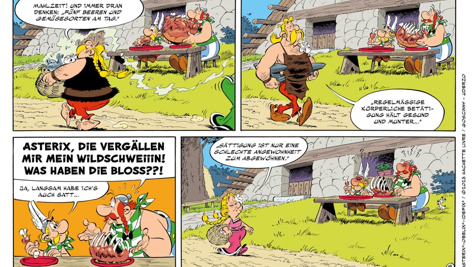 Auszug einer Asterix-Comics: vier Bildtafeln beschreiben das Treiben einer Dorfgemeinschaft in Bild und Text.