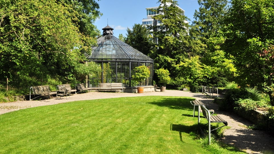Der Alte Botanische Garten in Zürich: Hörplatz für das erste Open Air-Literaturfestival. 