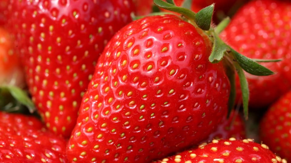 Erdbeeren, Nahhaufnahme