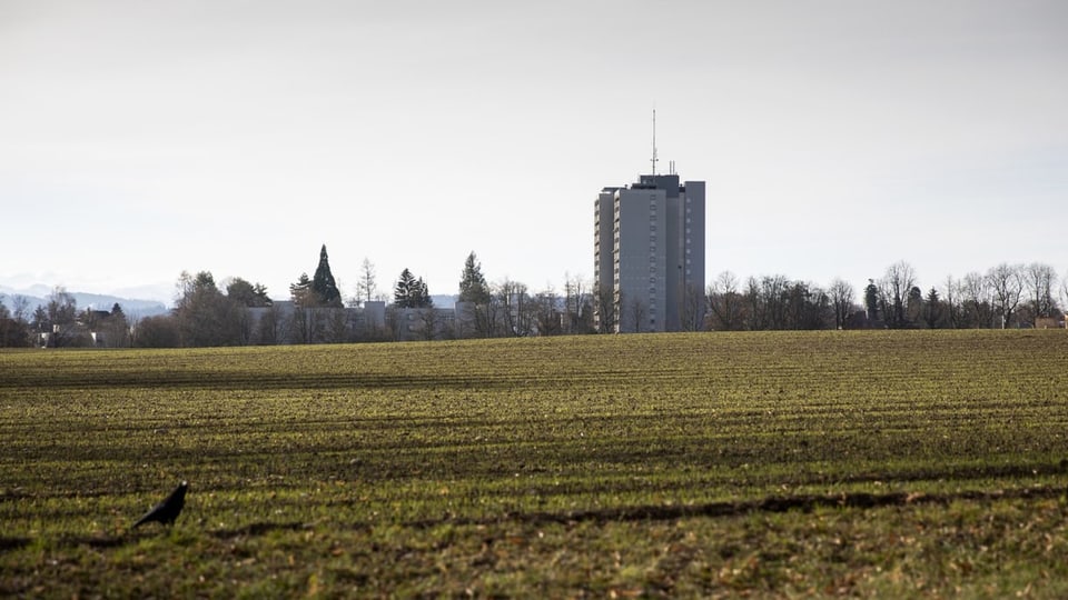 Das Viererfeld.