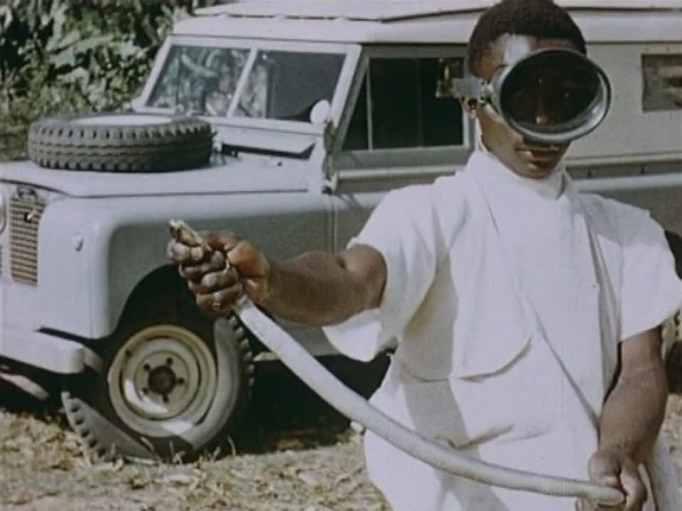 Mann mit Taucherbrille hält eine Spei-Cobra in den Händen.