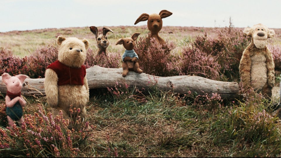 Ist Winnie Pooh Ein Mädchen Oder Ein Junge