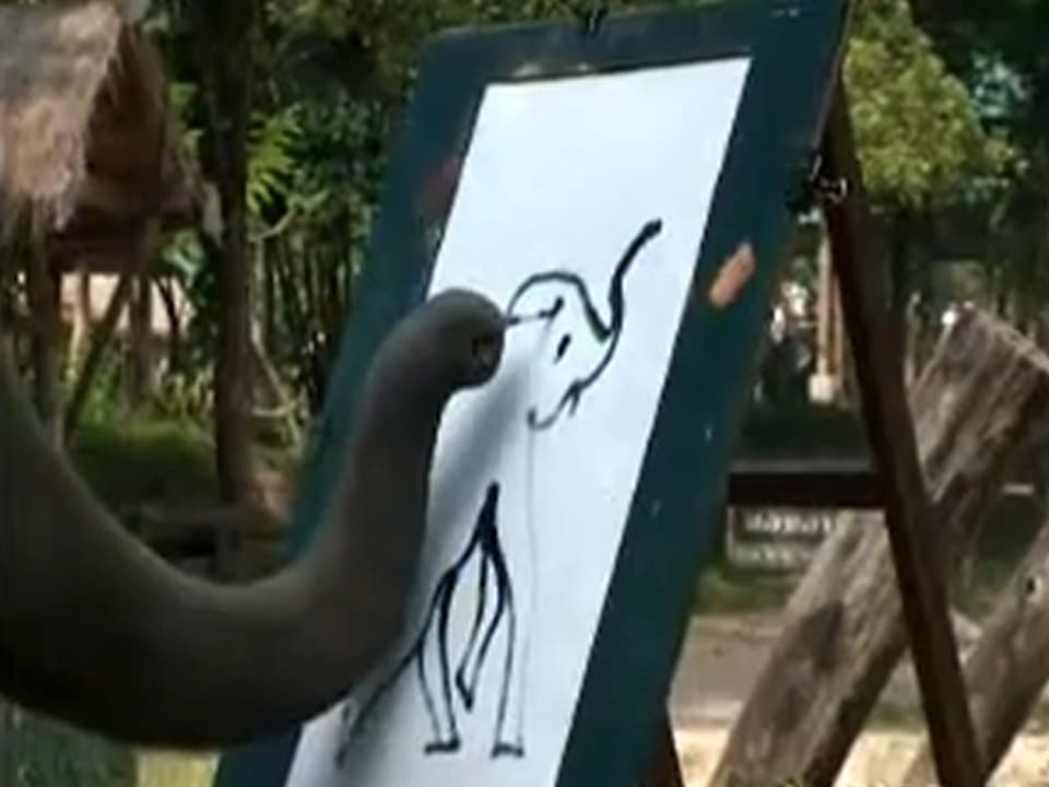 Der thailändische Elefant schwingt mit dem Rüssel einen Pinsel. 