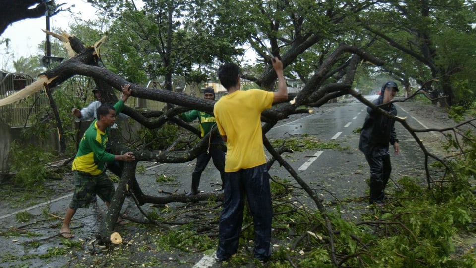 Vier Männer vesuchen, einen umgestürzten Baum von einer Strasse zu tragen
