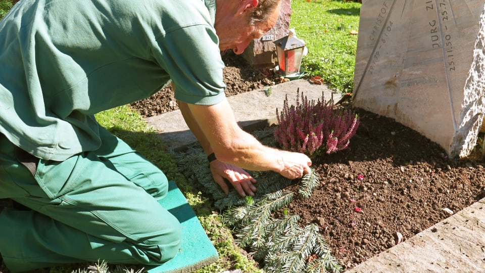 Ein Gärtner pflanzt eine Blume