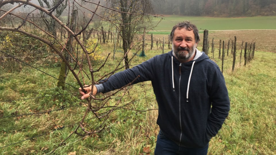 Claude Blattner hält eine Rebe.