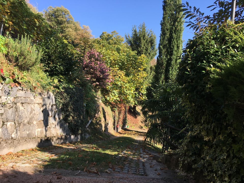 Einfahrt zu einem Rustico in Bioggio, Malcantone