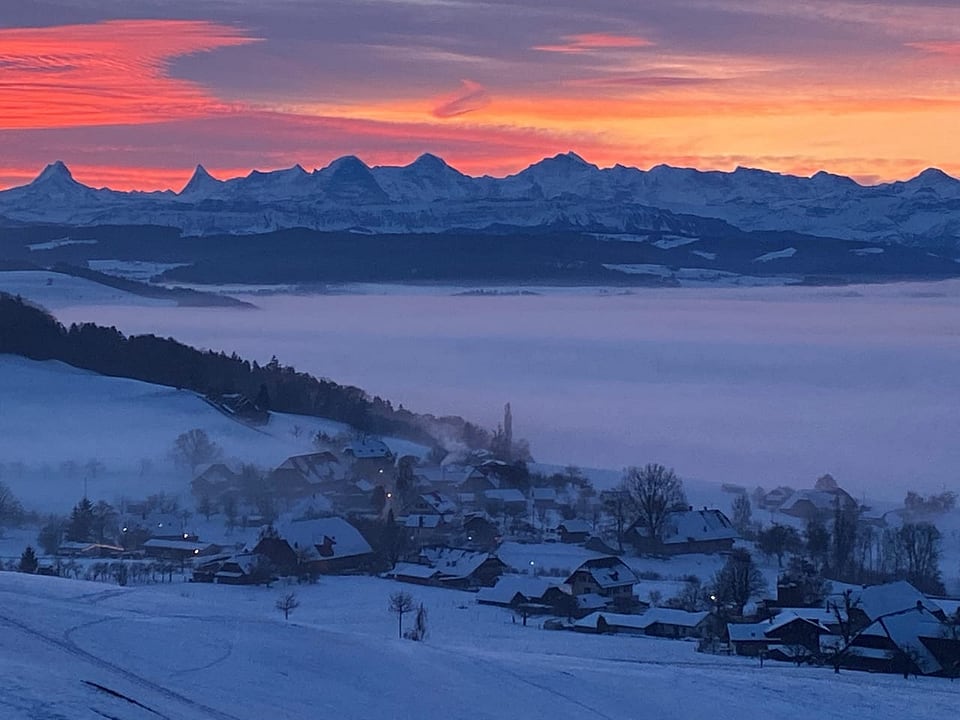 Nebelobergrenze auf ca. 700 M. ü. M.
Blick Richtung Berner Alpen.