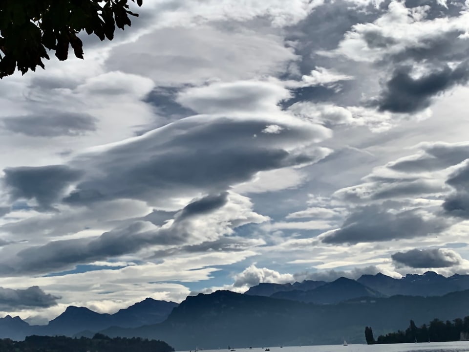 Luzern Wie ein Fisch über Luzern.