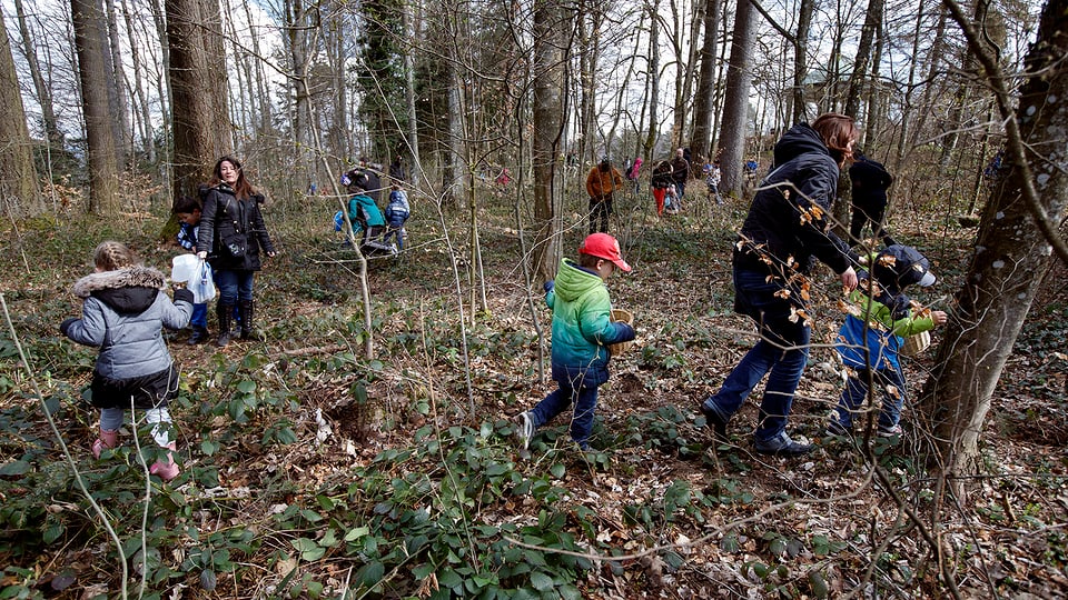 Viele Kinder und einige Eltern laufen auf der Eiersuche in einem Wald umher 