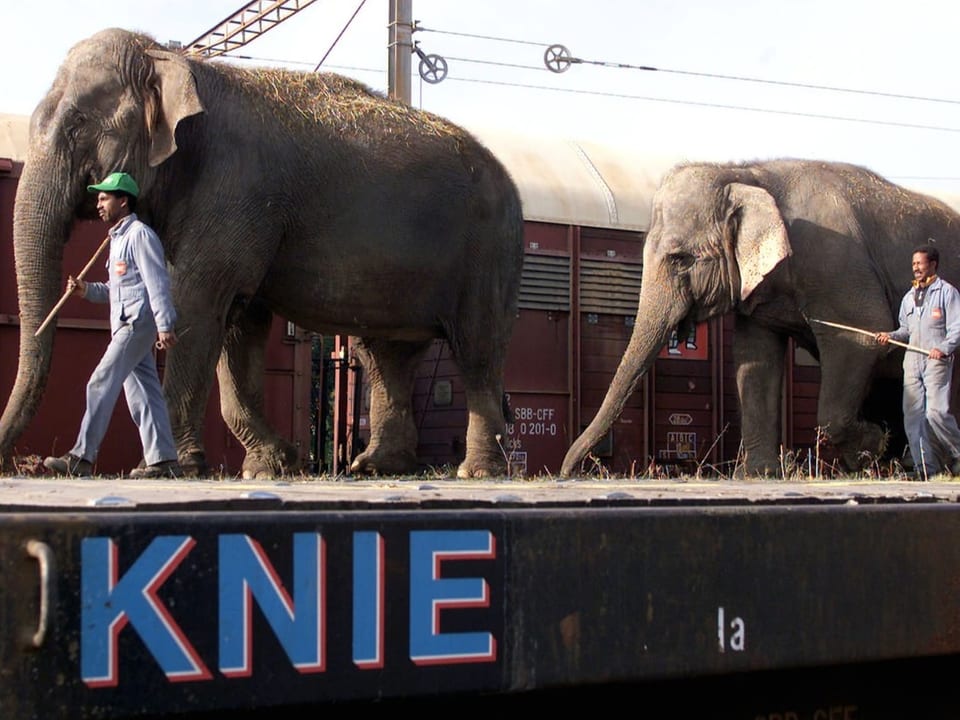 Elefanten steigen aus dem Zug