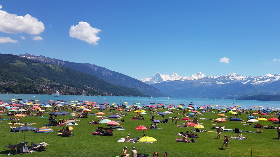 Hitzetage in der Schweiz