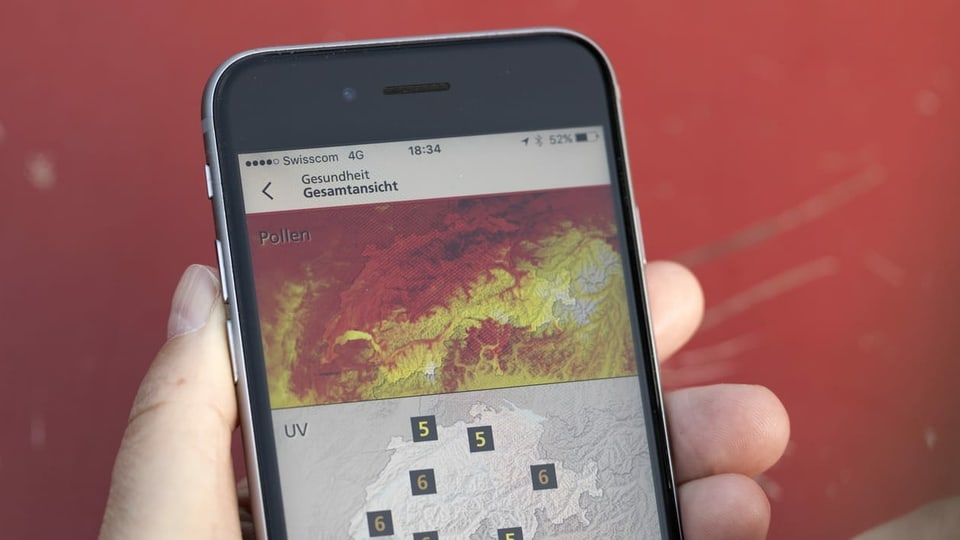 Auf einem Smartphone ist eine Pollen-App geöffnet