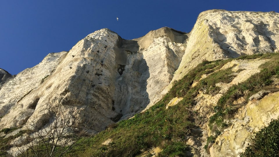 Die weissen Klippen sind das Wahrzeichen der Stadt Dover. 