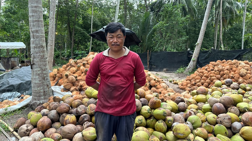 Mann vor Kokosnüssen