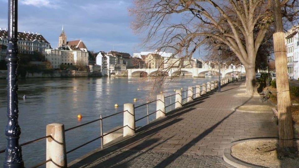 Der Rhein in Basel - links ist die Grossbasler Seite sichtbar, rechts ein Baum