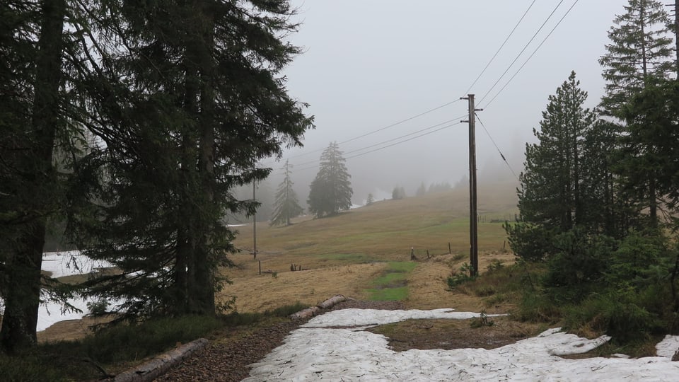 Eine Stromleitung über einen schneebedeckten Weg im Moorgebiet Ibergeregg.
