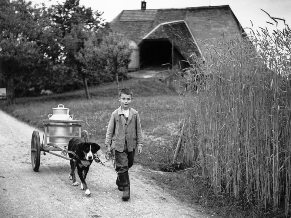 Ein ärmlich gekleidetes Kind, das mit einem Hund und Milchtanse auf einer Landstrasse geht, im Hintergrund ein Bauernhaus.