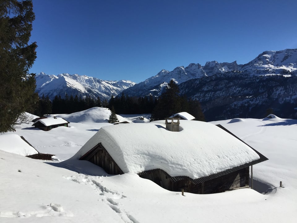 Tief verschneite Landschaft mit einem Haus mit viel Schnee auf dem Dach.