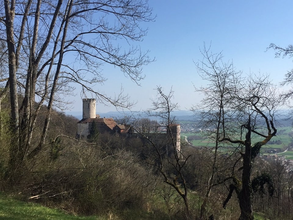 Blick auf Schloss Neu-Bechburg zwischen Bäumen hindurch an einem klaren Tag.