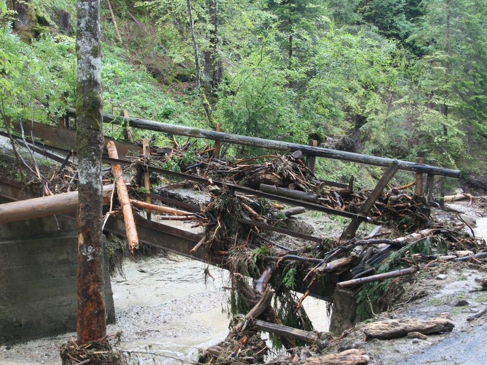 Eine Brücke voll mit Schwemmholz.