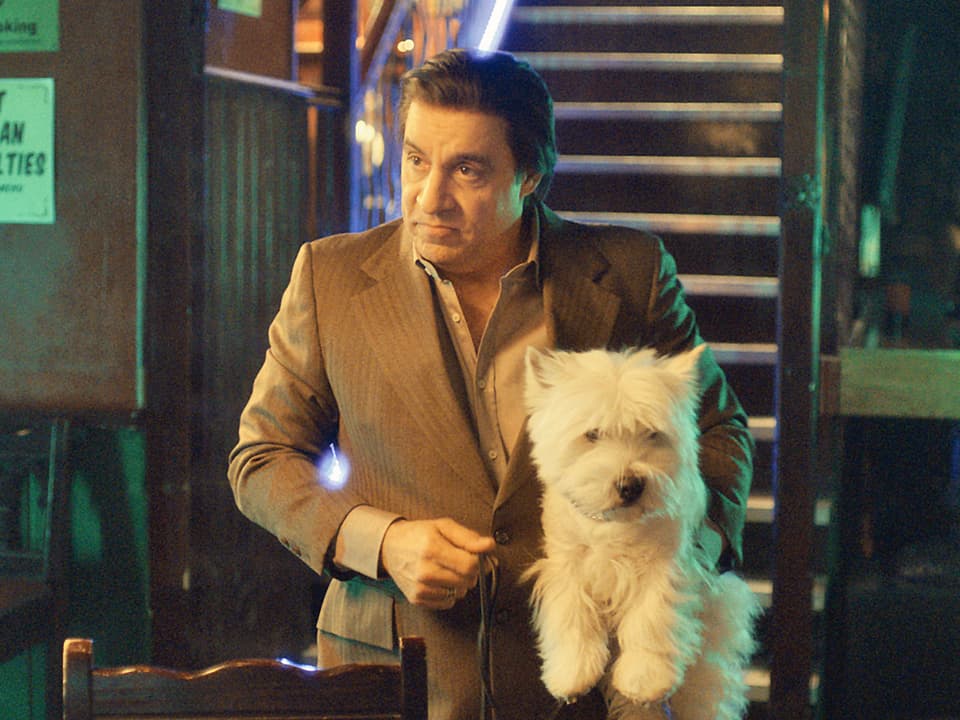 Mann in Anzug mit kleinem weissen Hund auf dem Arm. 