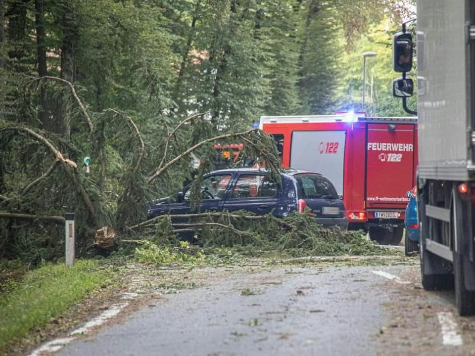 Ein heruntergefallener Baum liegt auf einem Auto. Daneben steht eine Feuerwehrauto. Die Strasse scheint gesperrt.