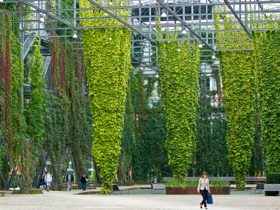 Der MFO Park mit vertikaler Begrünung in Zürich-Oerlikon.