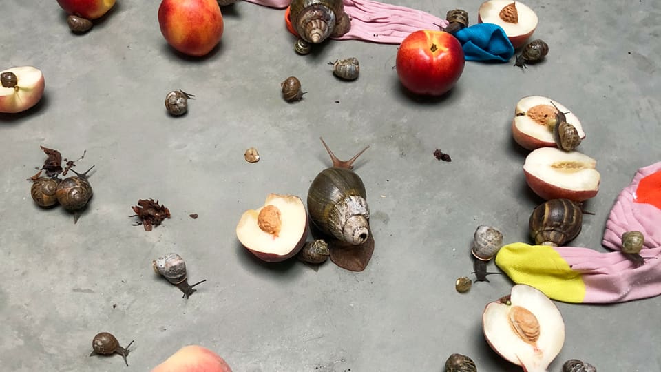 Jürgen-Teller-Fotoausstellung - Völlig anders als erwartet - Kultur - SRF