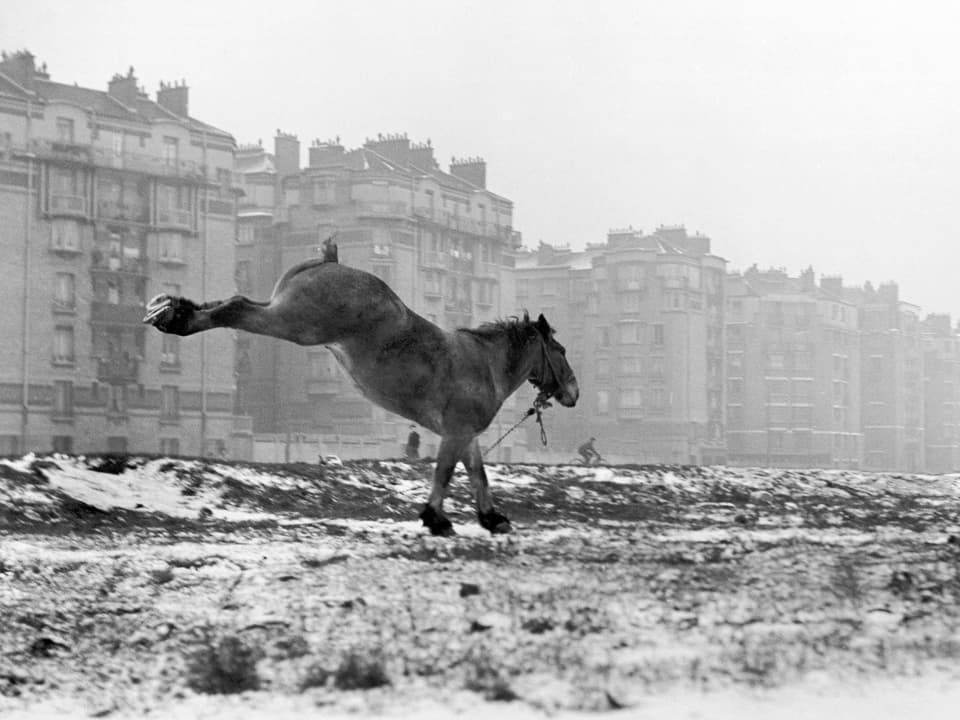 Porte de Vanves, Paris, 1951