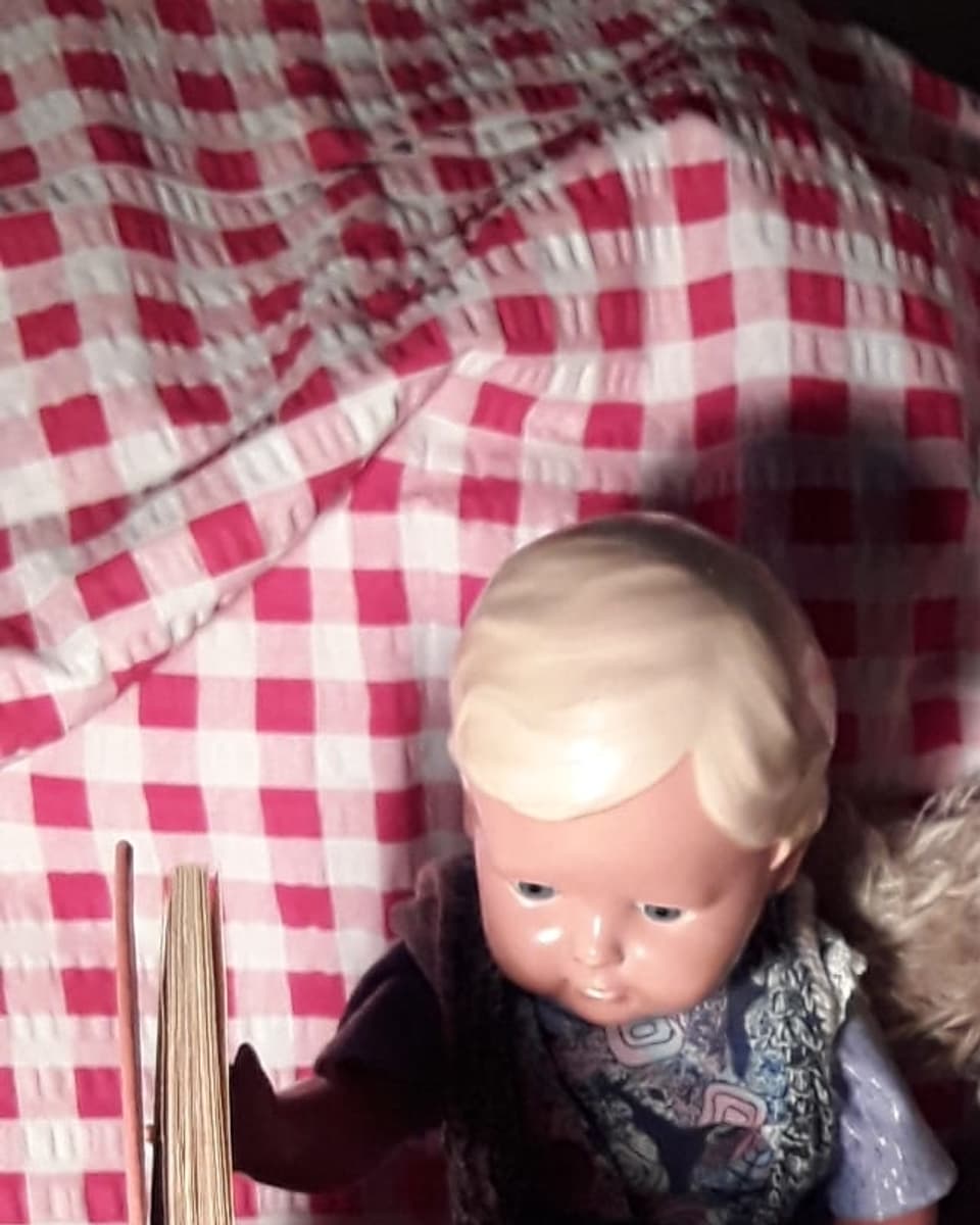Ein Bär und eine Puppe, die vor einem «Heidi»-Buch sitzen