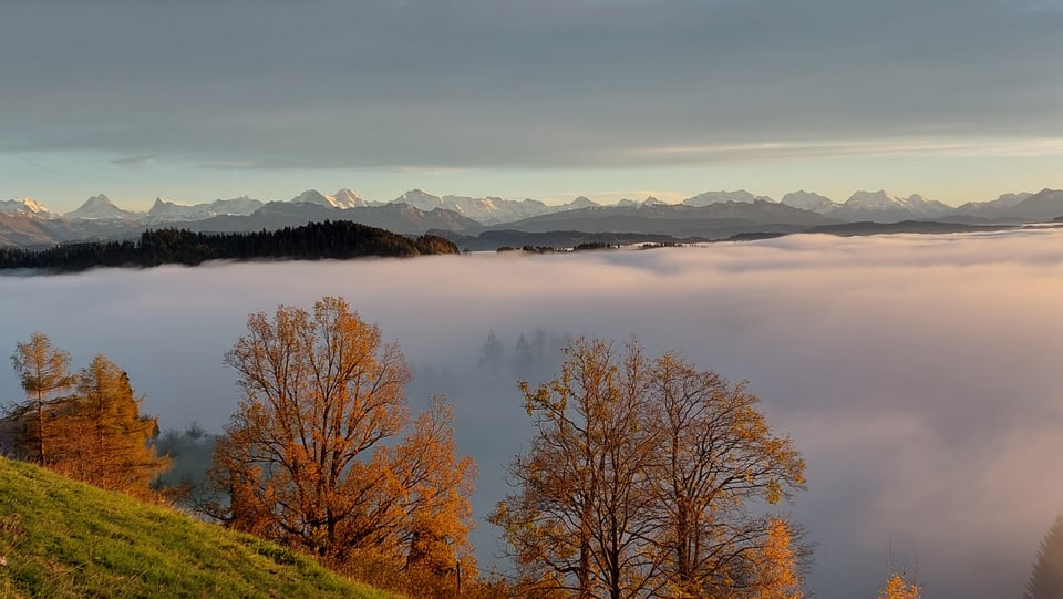 Geilisgut/BE Tolle Sicht aufs Nebelmeer.