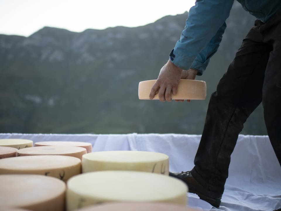 Ein Käser legt einen Laib Käse zu anderen, die bereits auf einem Tuch am Boden liegen.