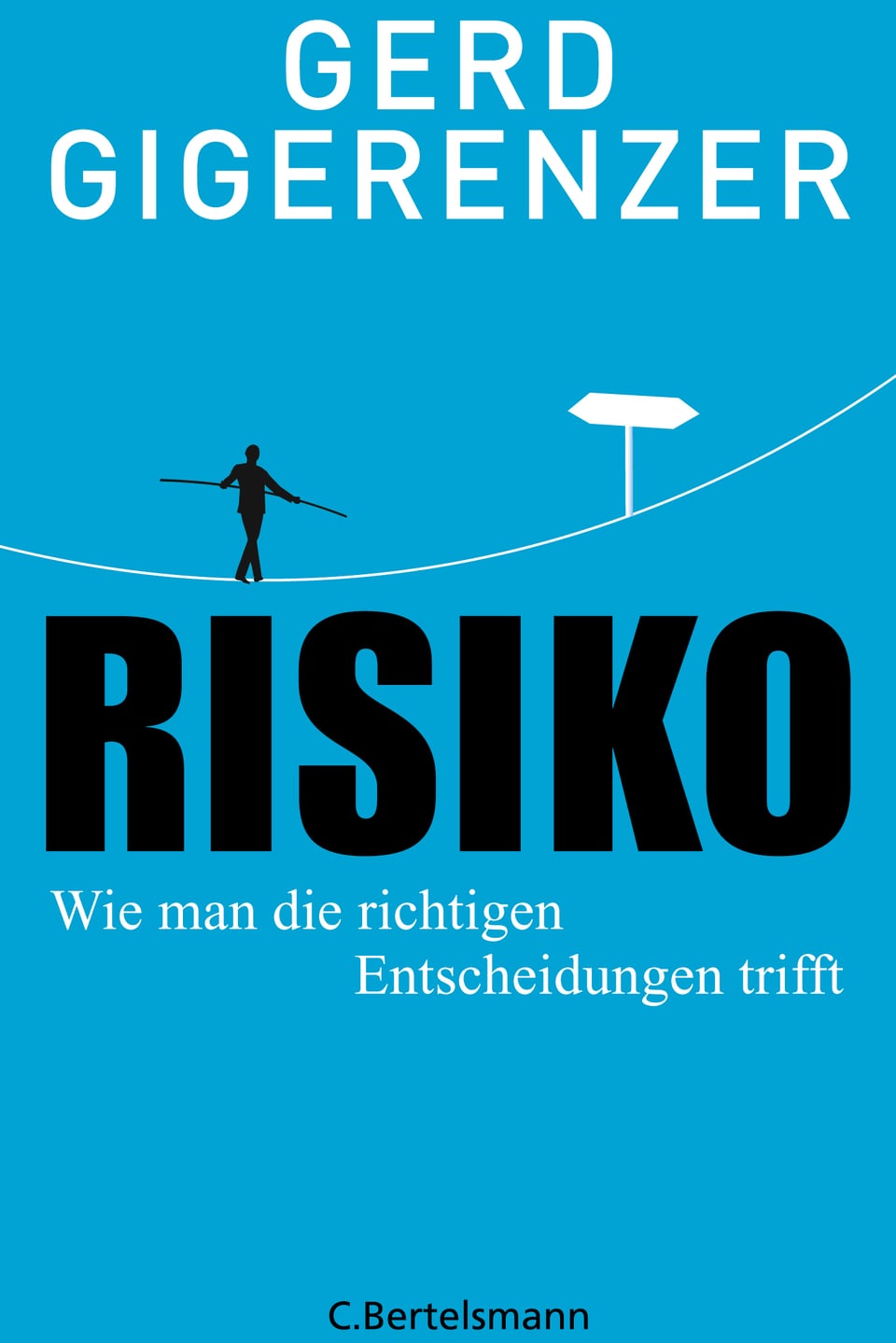 Titel des Buches mit dem Namen Risiko, Wie man die richtigen Entscheidungen trifft.