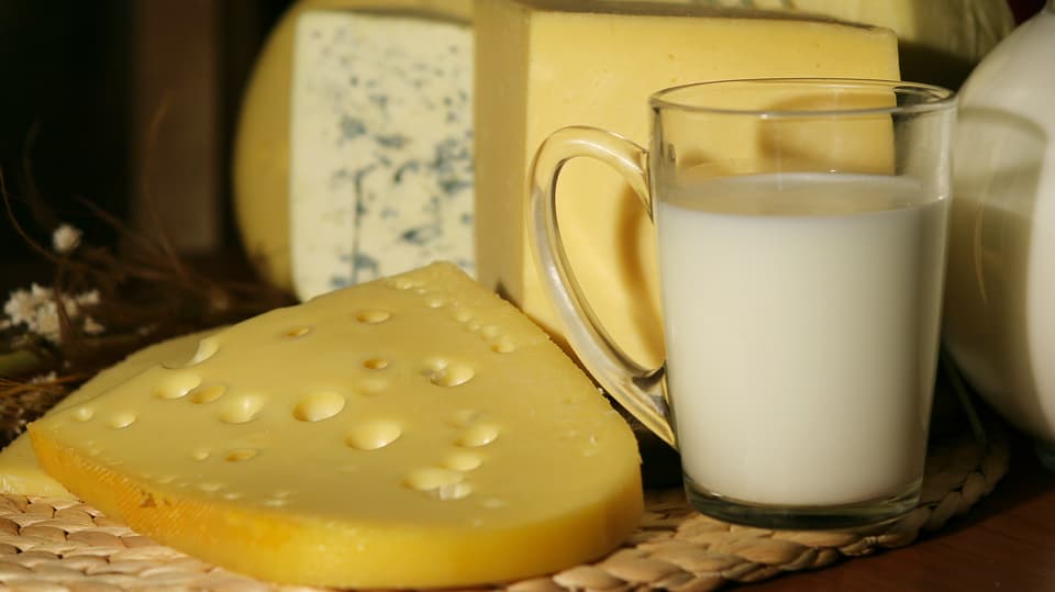 Käse und Milch