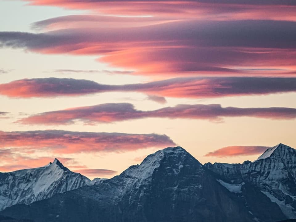 Linsenwolken in rosa