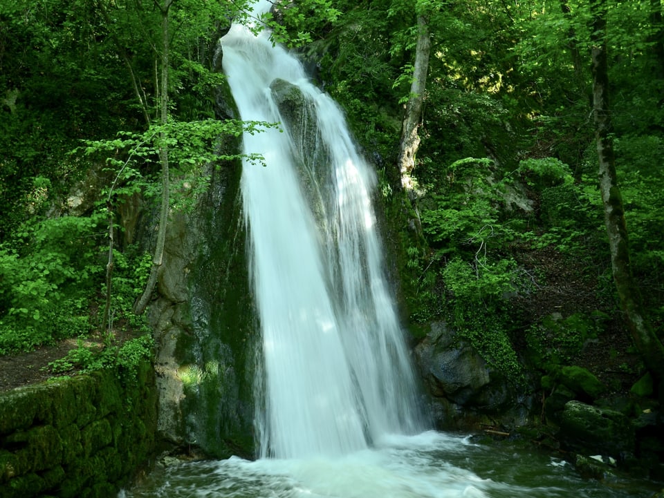Wasserfall im grünen Wald