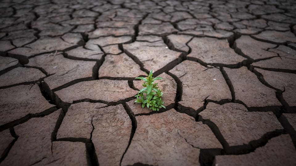 Drought and water scarcity in Spain
