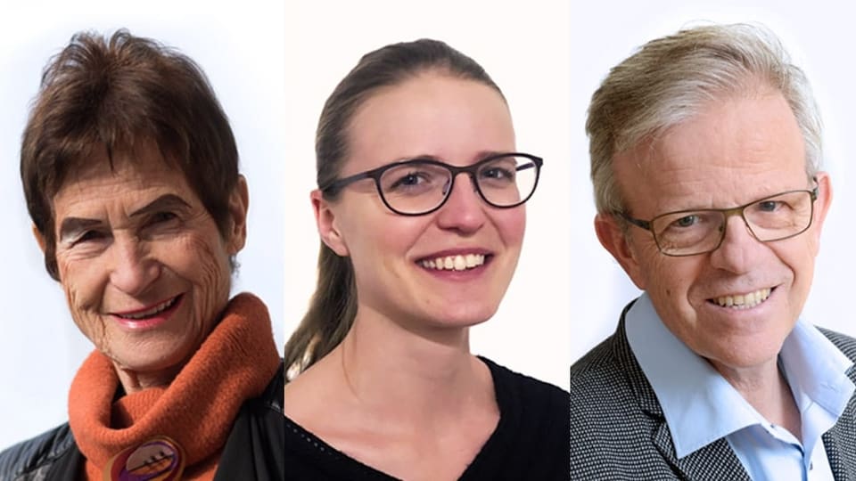 Portraitbilder der Experten