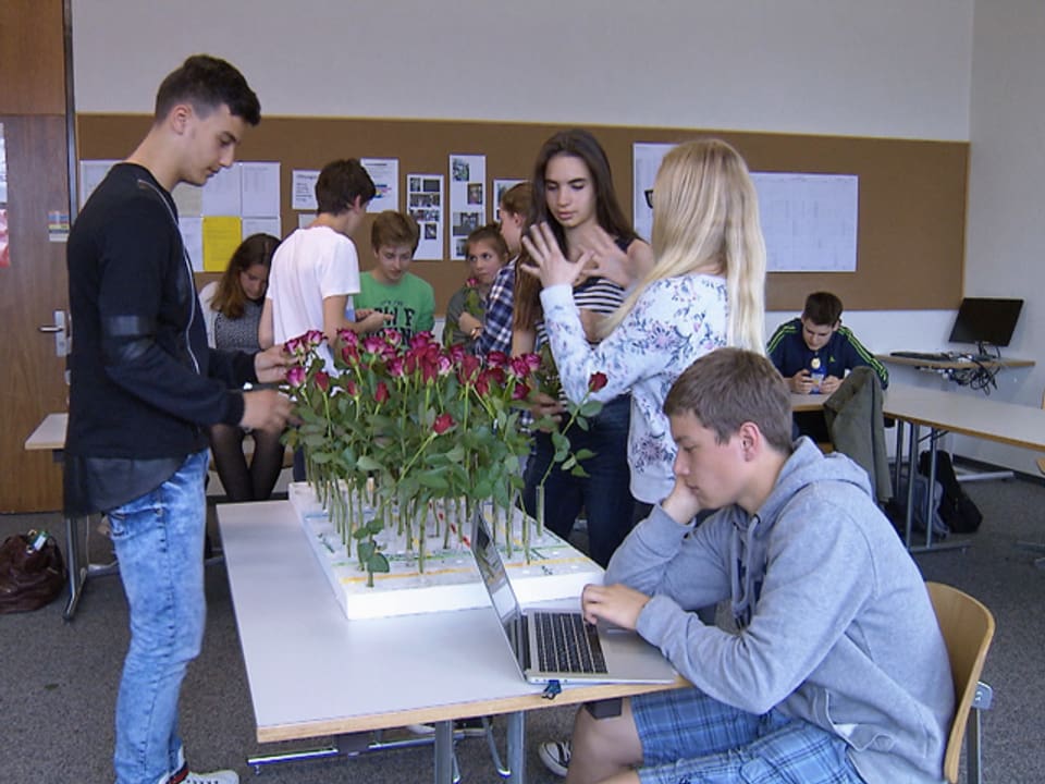 Eine Schulklasse steht um Rosen in Reagenzgläsern herum. 