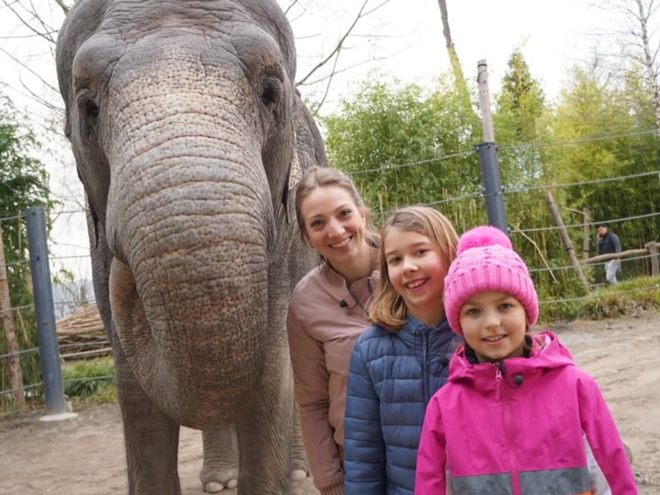 Elefant und drei Menschen daneben.